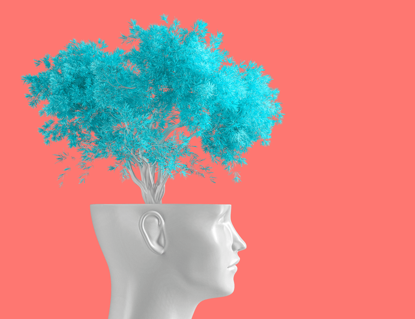 Website 5 Step Model Training